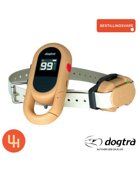 DOGTRA IQ FLEX - Beige